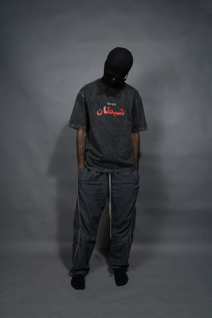 I'M Not Shaitan T-Shirt