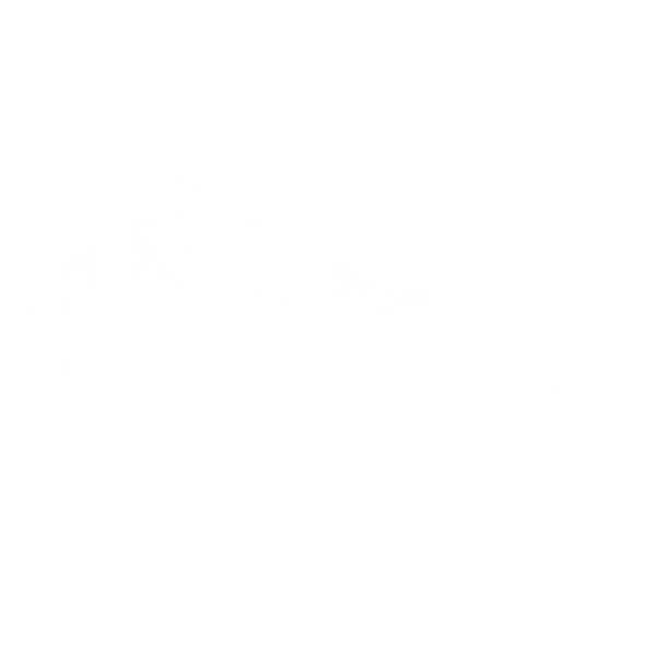 Duzmek